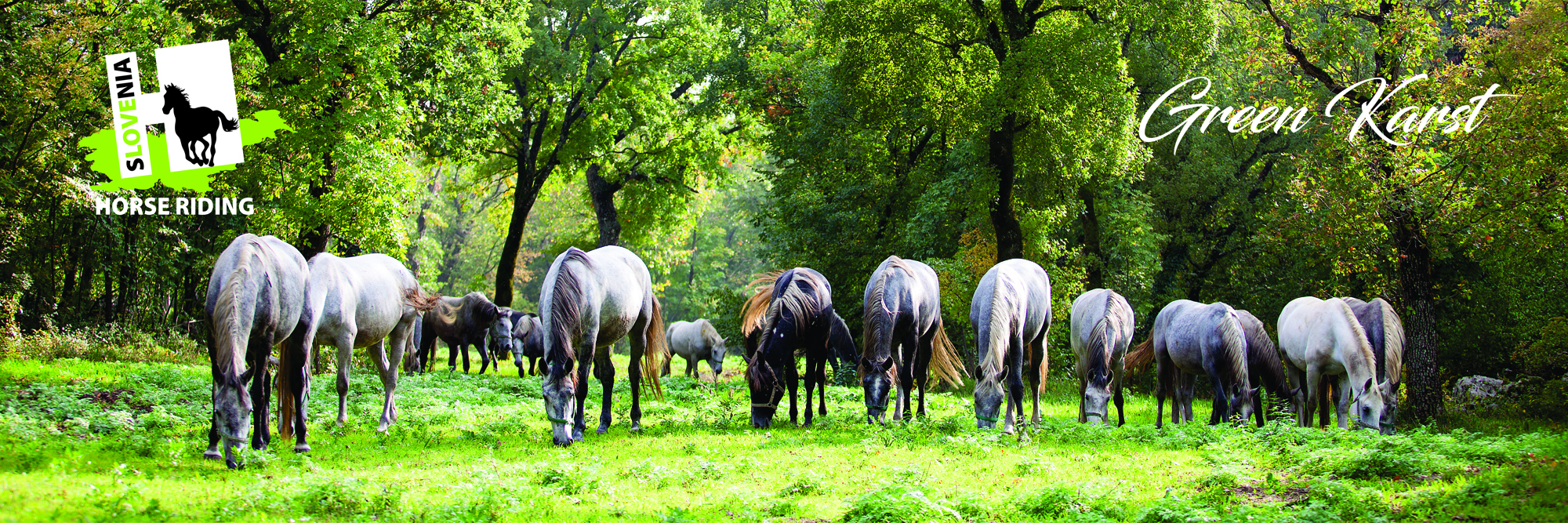 holidays_ride_green_karst_header.jpg