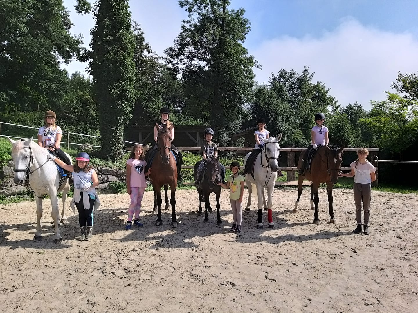 Horseback Riding in Ljubljana Green Marshes Trail Rides & Lessons
