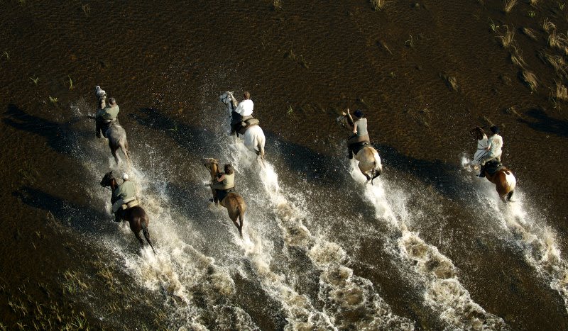 131220135828-horse-treks-okavango-delta-botswana.jpg